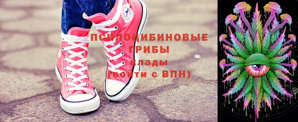 соль ск Абаза