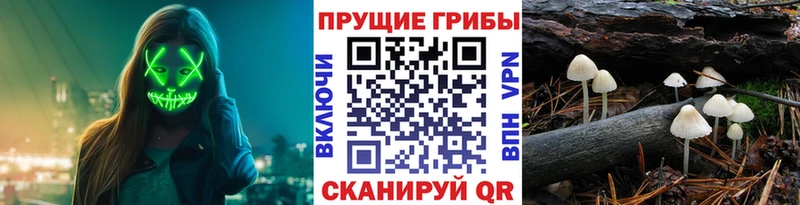 Псилоцибиновые грибы Magic Shrooms  дарк нет состав  Норильск 